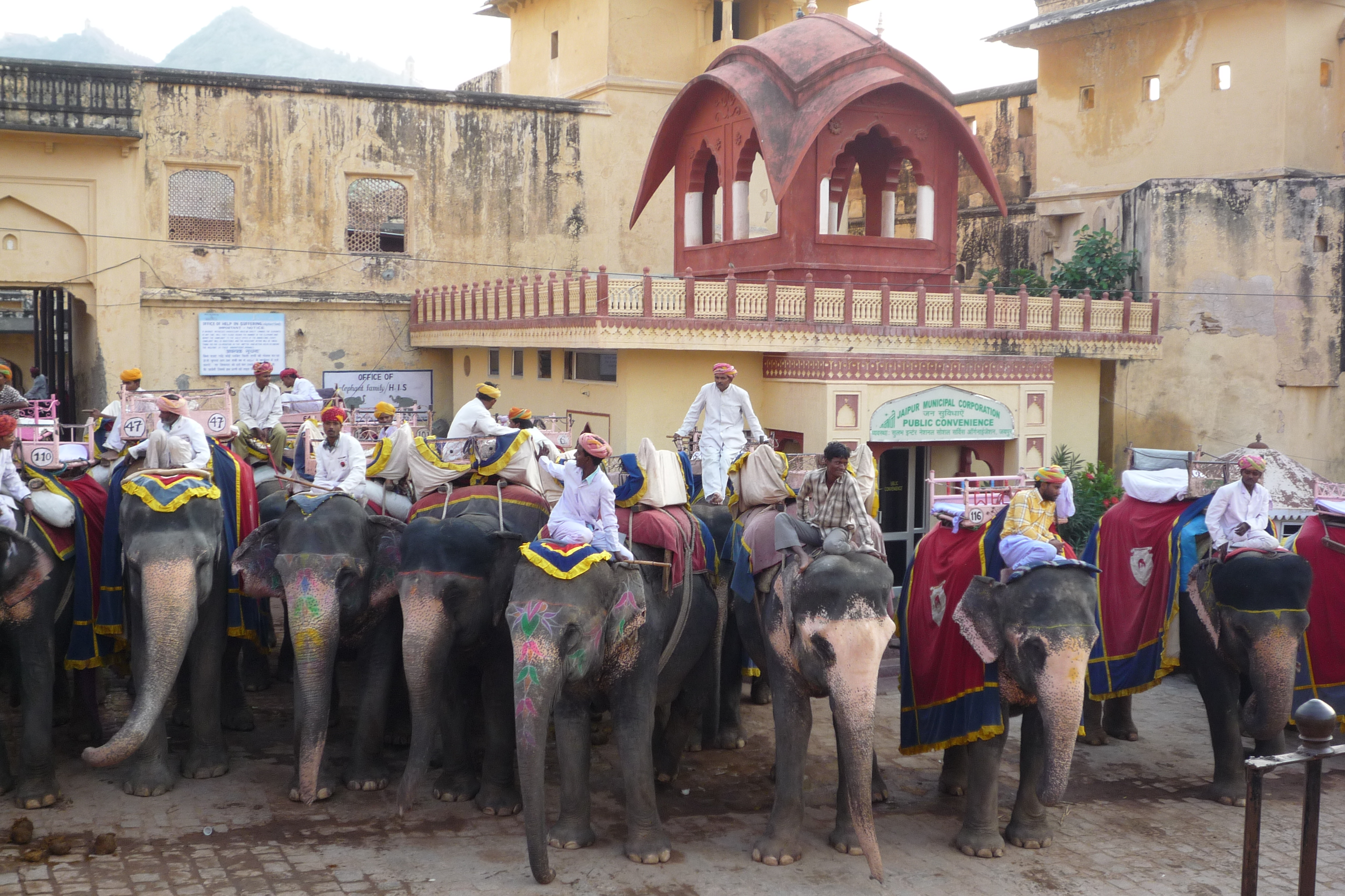 Recovered_JPEG Digital Camera_13396