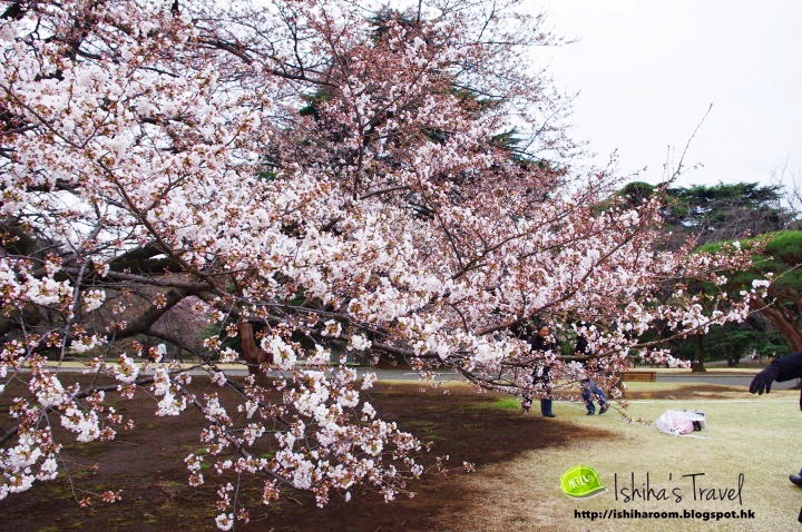 38723-25077_395144942512_3961435_fixed