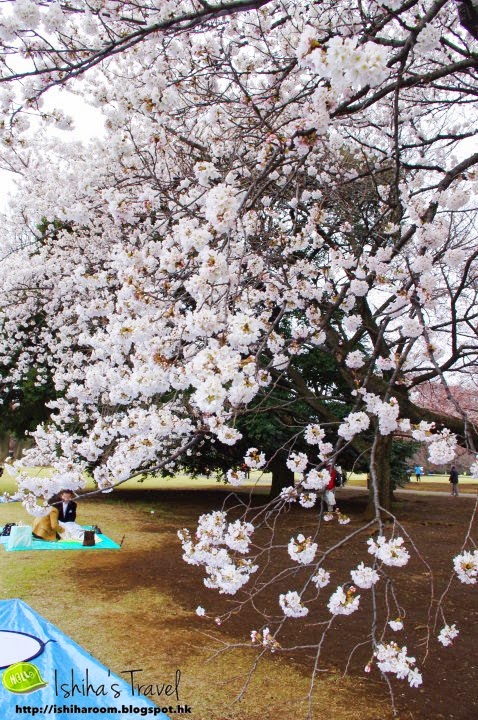 c5fae-25077_395144927512_3341306_fixed