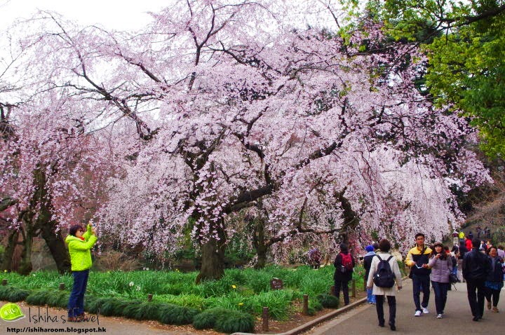 d91fd-25077_395144972512_1514330_fixed